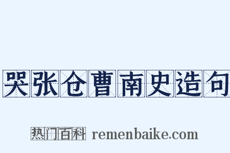 哭张仓曹南史造句是什么意思的图片